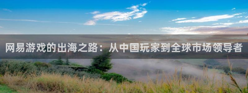 手机版长征娱乐客户端下载：网易游戏的出海之路：从中国玩家到全