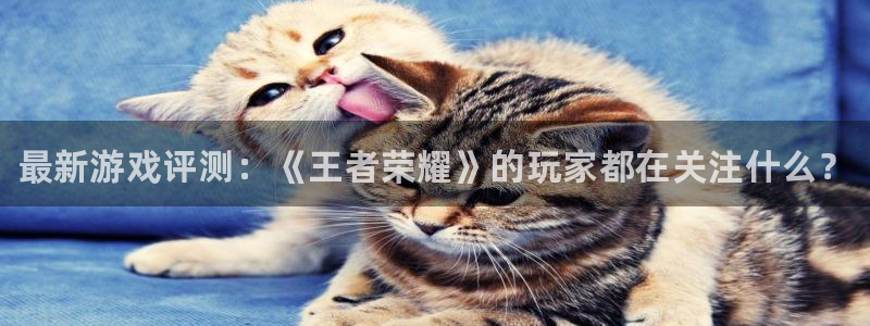 长征娱乐app下载|下载地址：最新游戏评测：《王者荣耀》的玩
