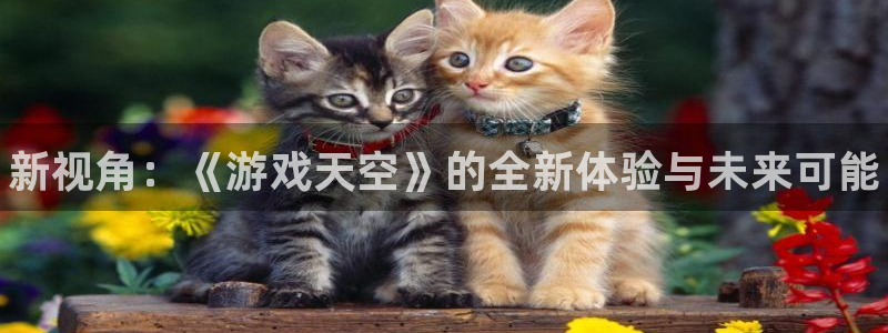 长征娱乐登陆地址：新视角：《游戏天空》的全新体验与未来可能