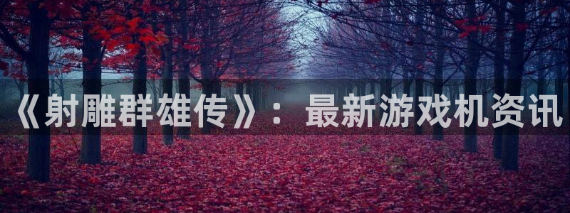 长征娱乐注册登录平台：《射雕群雄传》：最新游戏机资讯