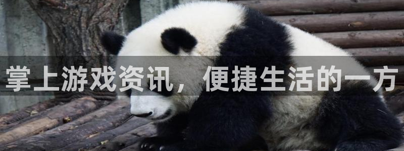 长征娱乐是什么：掌上游戏资讯，便捷生活的一方