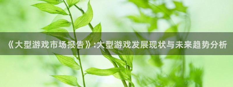 长征娱乐注册开户：《大型游戏市场报告》:大型游戏发展现状与未