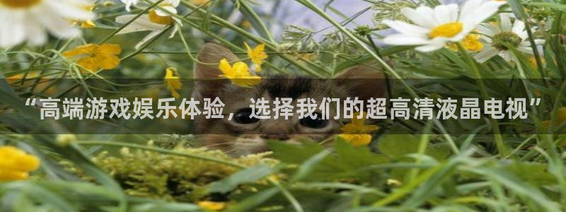 长征娱乐网页登录入口：“高端游戏娱乐体验，选择我们的超高清液
