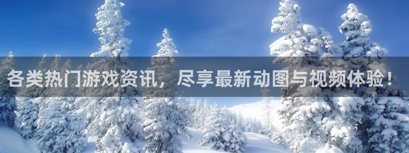 长征娱乐直属：各类热门游戏资讯，尽享最新动图与视频体验！