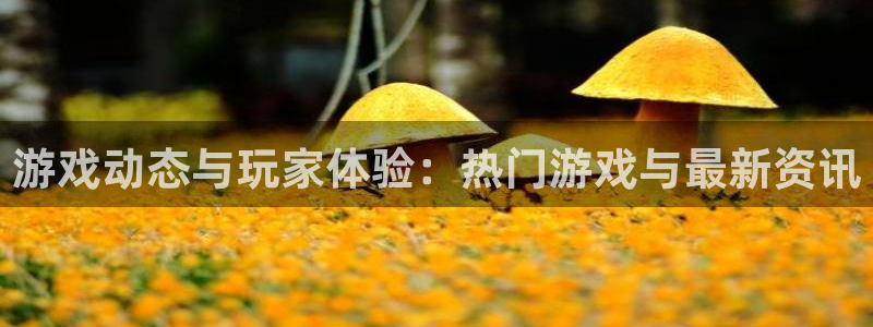 长征娱乐平台登陆：游戏动态与玩家体验：热门游戏与最新资讯