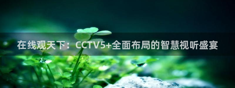 833足球直播在线直播：在线观天下：CCTV5+全面布局的智慧视听盛宴