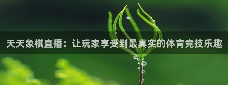 833直播体育nba：天天象棋直播：让玩家享受到最真实的体育竞技乐趣