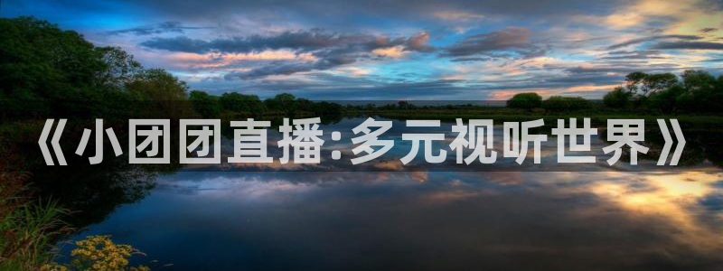 833比赛直播：《小团团直播:多元视听世界》