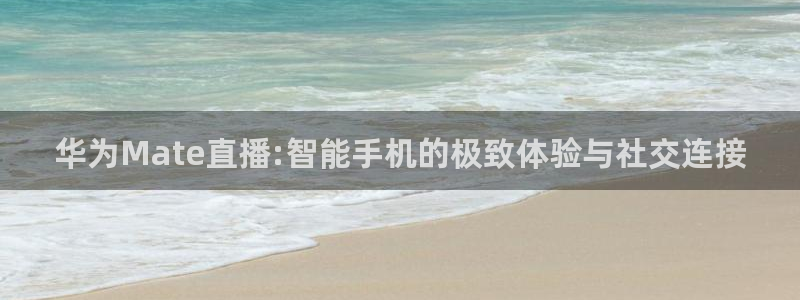833足球直播在线观看