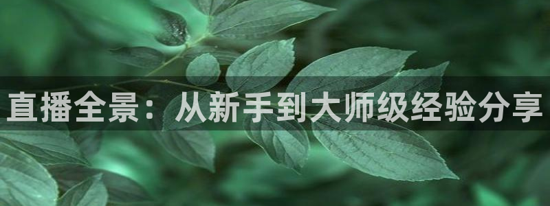 833直播nba免费观看高清直播：直播全景：从新手到大师级经验分享