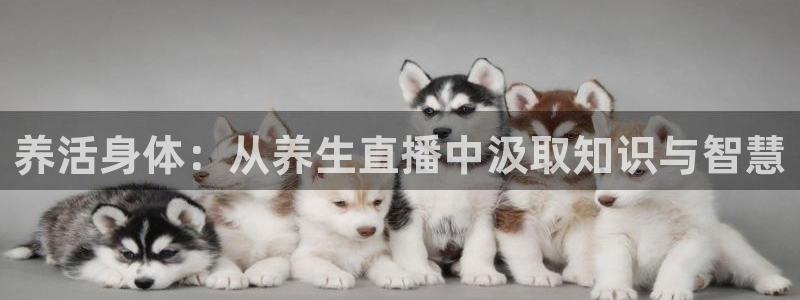 833体育在线直播