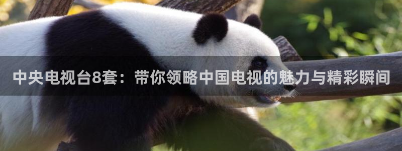 833体育直播在线观看：中央电视台8套：带你领略中国电视的魅力与精彩瞬间