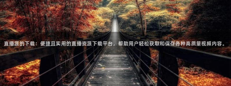833足球直播免费直播