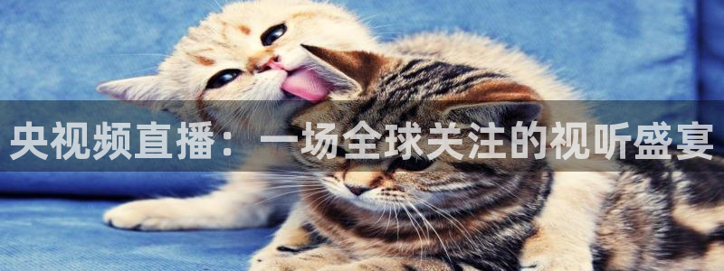 833直播：央视频直播：一场全球关注的视听盛宴