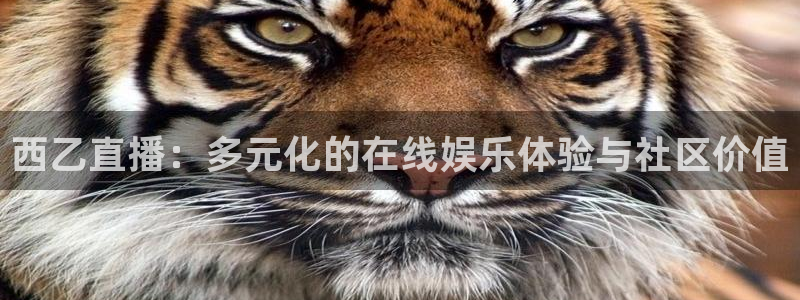 833体育赛事直播：西乙直播：多元化的在线娱乐体验与社区价值